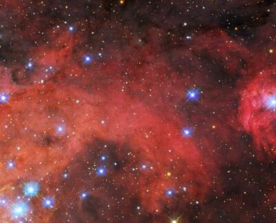 Tarantula Nebula Image