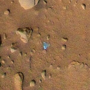 Debris on Mars