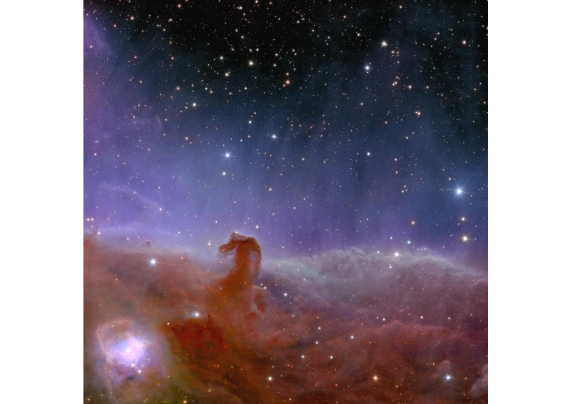 Euclid’s view of the Horsehead Nebula